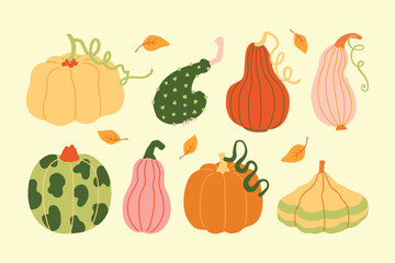 Autumn harvest various pumpkins and leaves hand drawn cute simple illustration collection Modern clip art set for children books stationery banners and social media