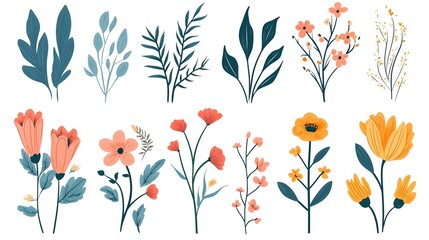 Hand-drawn floral elements and leaves - Vector botanical illustration