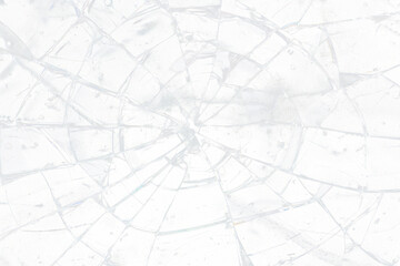 PNG Cracked Glass overlay effect invertebrate arachnid animal.