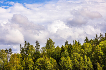 Beautiful view of mixed forest against cloudy sky on an overcast summer day. Sweden.