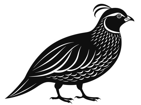 recommend clip art: quail bird black silhouette vector