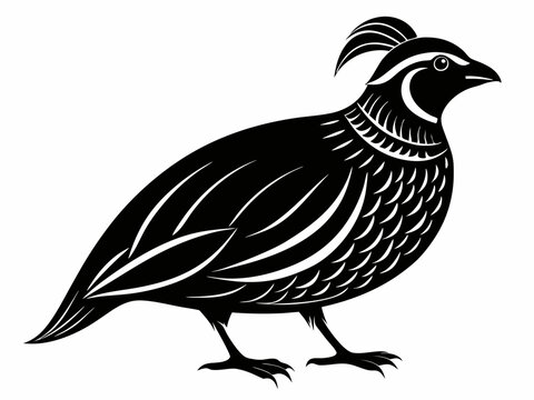 recommend clip art: quail bird black silhouette vector