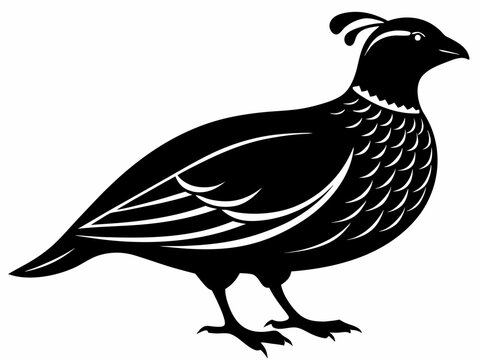 recommend clip art: quail bird black silhouette vector
