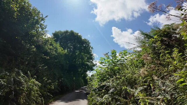 Dartmoor Devon UK. 07.08.2024. Video.  Narrow country lane to Harford Moor on Dartmoor Devon England.