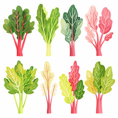 Vector Rhubarb simple and minimali
