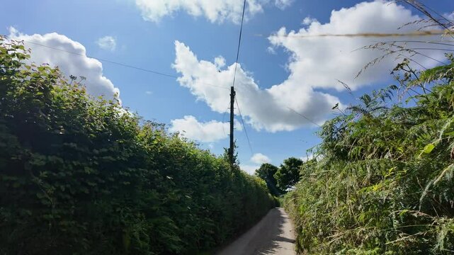 Dartmoor Devon UK. 07.08.2024. Video.  Narrow country lane to Harford Moor on Dartmoor Devon England.