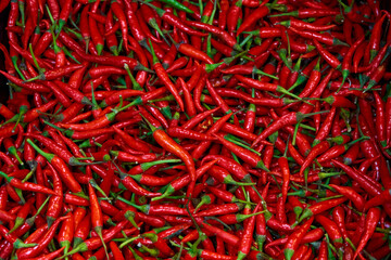 Fototapeta premium The texture of many red hot long peppers is displayed in the store.