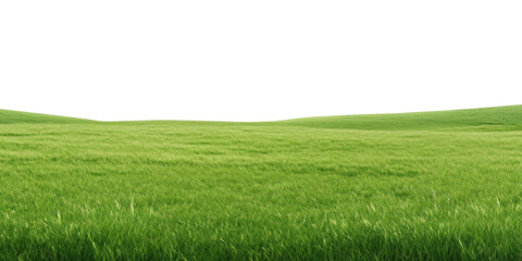 Fototapeta premium PNG Vast green field under sky