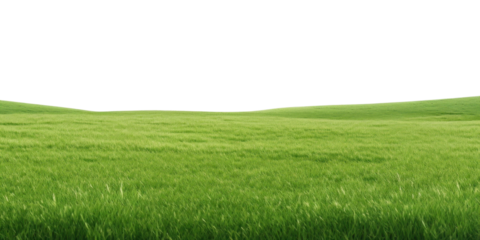 PNG  Vast green field under sky