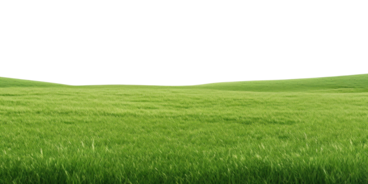 PNG  Vast green field under sky