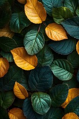 Fototapeta premium Green and Yellow Leaves Texture