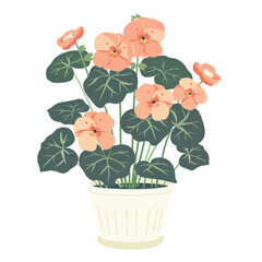 Vector Begonia in vase simple and