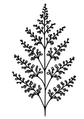 Flowers SVG, Plant SVG, Blossom SVG, Alstroemeria SVG, Rose SVG, Camelia SVG, Poppy SVG, Lilac SVG, Hibiscus SVG, Orchid SVG, Flowers Design, Flowers Silhouette, Cut file for Cricut SVG, JPG, PNG