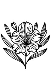 Flowers SVG, Plant SVG, Blossom SVG, Alstroemeria SVG, Rose SVG, Camelia SVG, Poppy SVG, Lilac SVG, Hibiscus SVG, Orchid SVG, Flowers Design, Flowers Silhouette, Cut file for Cricut SVG, JPG, PNG