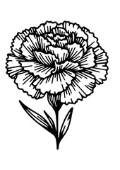 Flowers SVG, Plant SVG, Blossom SVG, Alstroemeria SVG, Rose SVG, Camelia SVG, Poppy SVG, Lilac SVG, Hibiscus SVG, Orchid SVG, Flowers Design, Flowers Silhouette, Cut file for Cricut SVG, JPG, PNG