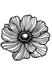 Flowers SVG, Plant SVG, Blossom SVG, Alstroemeria SVG, Rose SVG, Camelia SVG, Poppy SVG, Lilac SVG, Hibiscus SVG, Orchid SVG, Flowers Design, Flowers Silhouette, Cut file for Cricut SVG, JPG, PNG