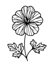 Flowers SVG, Plant SVG, Blossom SVG, Alstroemeria SVG, Rose SVG, Camelia SVG, Poppy SVG, Lilac SVG, Hibiscus SVG, Orchid SVG, Flowers Design, Flowers Silhouette, Cut file for Cricut SVG, JPG, PNG