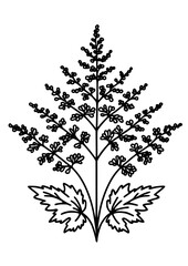 Flowers SVG, Plant SVG, Blossom SVG, Alstroemeria SVG, Rose SVG, Camelia SVG, Poppy SVG, Lilac SVG, Hibiscus SVG, Orchid SVG, Flowers Design, Flowers Silhouette, Cut file for Cricut SVG, JPG, PNG