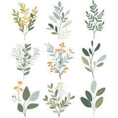 Vector Sage simple and minimalist