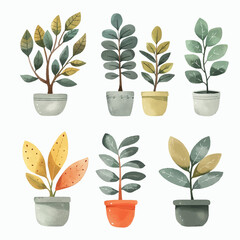 Vector Ficus simple and minimalist