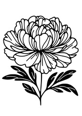 Flowers SVG, Floral SVG, Plant SVG, Blossom SVG, Flora SVG, Nature SVG, Leaves SVG, Green SVG, Gift for girl SVG, Flowers Silhouette, Flowers Design, Cut file for Cricut SVG, JPG, PNG