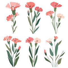 Vector Carnation simple and minima
