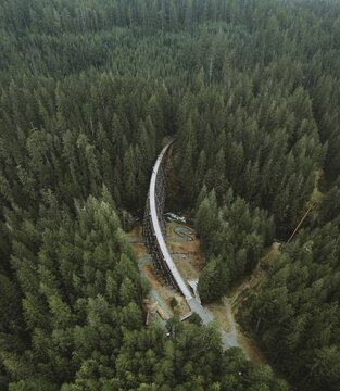 An aerial view of a dense forest with a bridge weaving through the trees, under an overcast sky, Cowichan Region, Vancouver Island, BC, Canada, North America