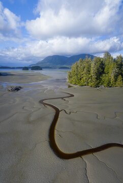 Aerial view showcasing a winding stream cutting through a sandy landscape with evergreen forest patches, mountains, and blue sky, Panorama shot, Tofino, BC, Canada, North America