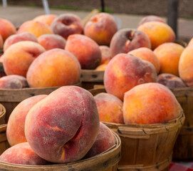 Ripe peaches in baskets at farmers market