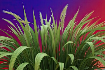 Obraz premium Stunning 3D Detailed Visualization of Poa Labillardier Grass on Colorful Background