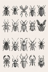 Fototapeta premium A collection of different bug species on a clean white surface, ideal for entomology or science illustrations