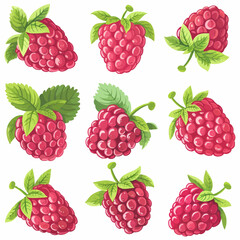 Vector Raspberry simple and minima