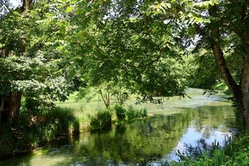 Daio Wasabi Farm - Matsumoto, Japan
