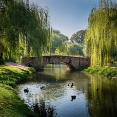 Fototapeta premium Riverside park with weeping willows