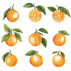 Vector Tangerine simple and minima