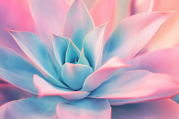 agave leaves in trendy pastel colors for design backgrounds