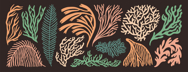 Aquarium, ocean and undersea seaweeds and corals icon set. Hand drawn minimal style branches and sea plants. Naive shapes curly seaweeds. Neutral colored retro style underwater plants. Funky fronds. © Anastasiia Hevko