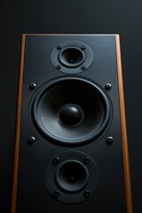 Fototapeta premium A pair of speakers placed on a wooden table, suitable for home or office use
