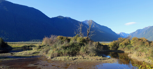 Scenery with marshes in mountain valley