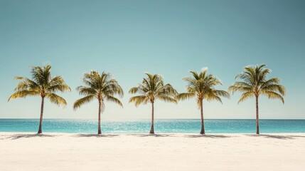 Palm trees stand on a white beach. This image can be used to promote travel, leisure, and relaxation.