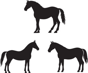 Horse silhouette vector, silhouette vector of Horse standing in different positions icon