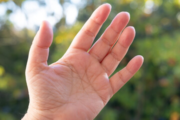 Close-up wrinkled mature female hand, palm against soft green background, Nature and Aging gracefully, essence aging and richness life experiences