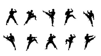 karate fight Martial arts illustration for logo