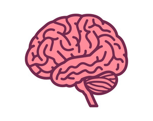 brain icon illustration