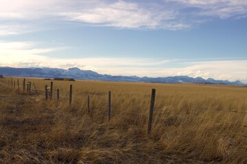 Barb wire fence with a yellowish grassy field looking at the rocky mountain front from the prairie 