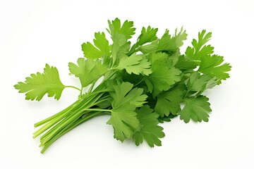 Parsley isolated on white background