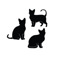 Devon Rex Silhouette Vector Template Illustration