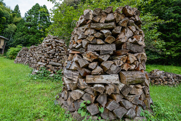 山で見かけた高く積み上げられた薪