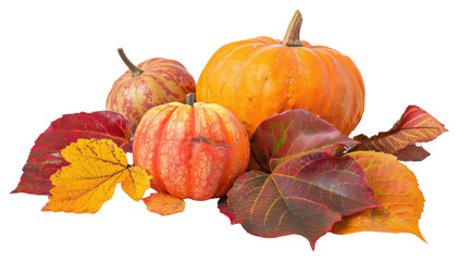 Autumn pumpkins with colorful leaves