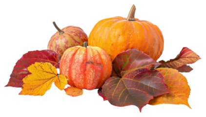 Autumn pumpkins with colorful leaves